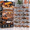 TVF Premium Mini Car Advent Calendar NTNA
